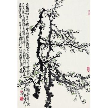 赵普国画花鸟《白梅》字画之家