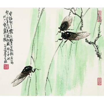 赵普国画花鸟《蝉》字画之家