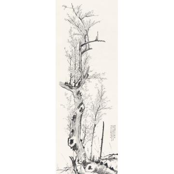 王世涛国画花鸟瑩然風骨字画之家