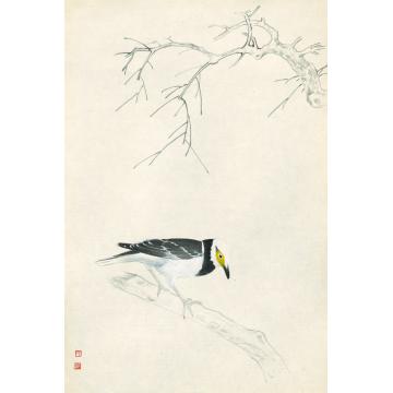王世涛国画花鸟黑領掠鳥字画之家
