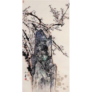 田雨霖国画花鸟白梅寿石图字画之家