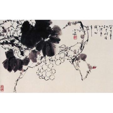 田雨霖国画花鸟玲珑珠玉图字画之家