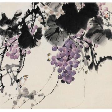 田雨霖国画花鸟硕果图字画之家