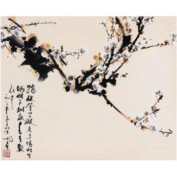田雨霖国画花鸟一枝清影写横斜字画之家