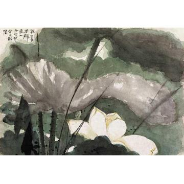 何海霞国画花鸟雅士有洁癖字画之家