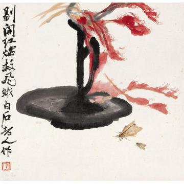 齐白石国画花鸟花卉草虫之红烛飞蛾图字画之家
