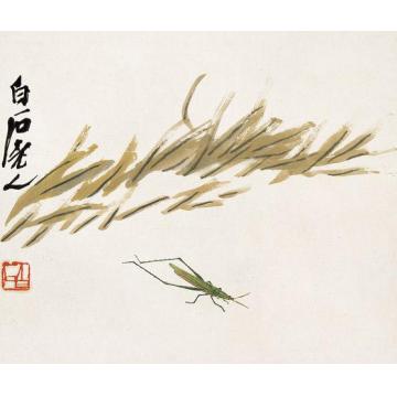 齐白石国画花鸟花卉草虫之小草箭头蝗图字画之家