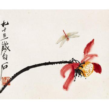 齐白石国画花鸟花卉草虫之荷花蜻蜓图字画之家