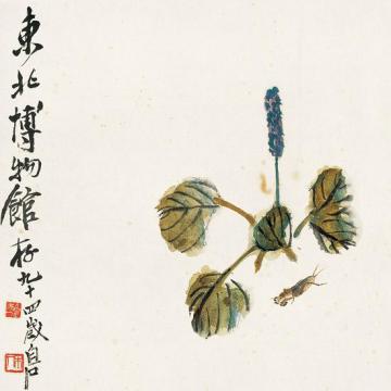 齐白石国画花鸟花卉草虫之蝼蛄红蓼图字画之家