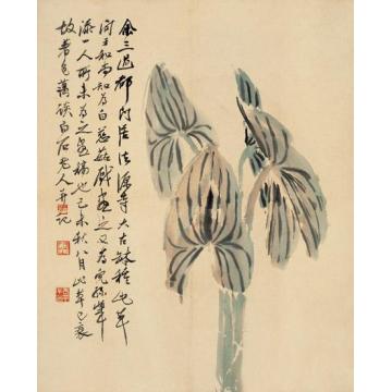 齐白石国画花鸟白慈茹图字画之家