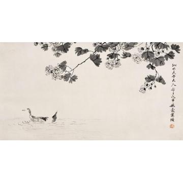 齐白石国画花鸟芙蓉水禽图字画之家