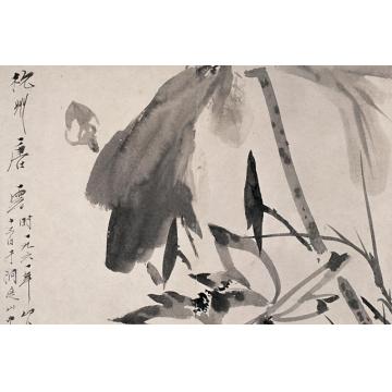 唐云国画花鸟墨荷字画之家
