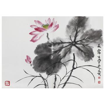 刘文顺国画花鸟承露字画之家