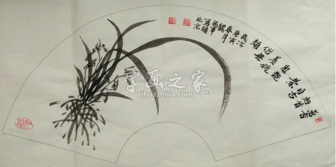 魏振军国画花鸟墨兰图字画之家