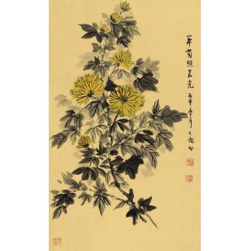 李天旭国画花鸟岸菊照晨光字画之家