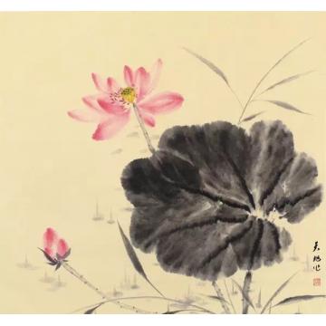 李天旭国画花鸟晨妆字画之家