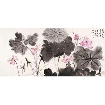 李天旭国画花鸟出水荷风带露香字画之家
