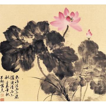 李天旭国画花鸟出淤泥而不染字画之家