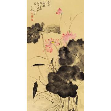 李天旭国画花鸟净不染尘字画之家