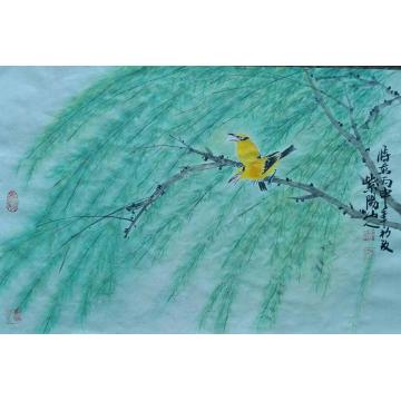 江本纯国画花鸟翠柳字画之家