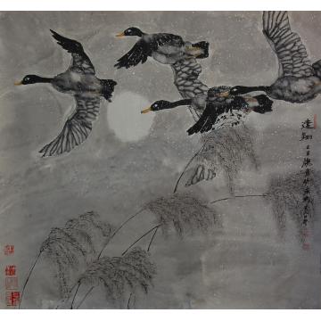 萧艺国画花鸟远翔字画之家