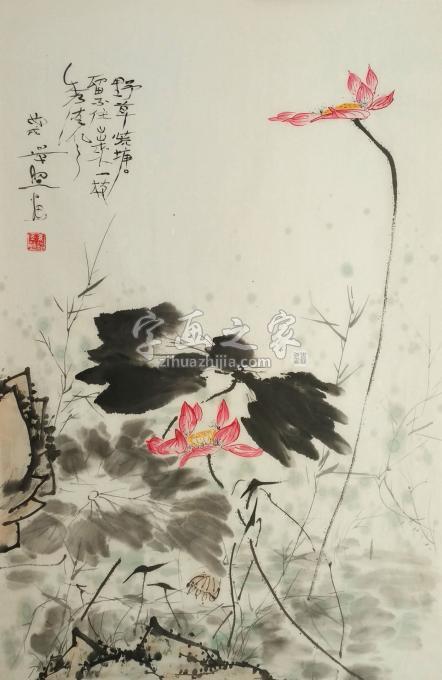 孙景照国画花鸟红荷字画之家 孙景照国画花鸟红荷字画之家