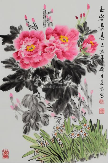 马建成国画花鸟玉容长春字画之家 马建成国画花鸟玉容长春字画之家