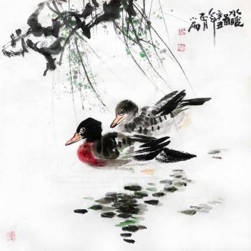 周小雨国画花鸟水暖图字画之家