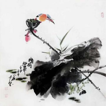周小雨国画花鸟残荷栖翠字画之家