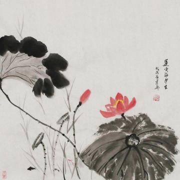 李建华国画花鸟赠送：运由荷中生字画之家