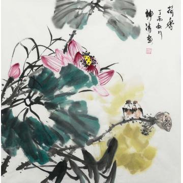 吕静涛国画花鸟荷香字画之家
