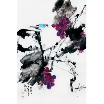 周小雨国画花鸟硕果累累字画之家