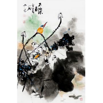 周小雨国画花鸟不染图字画之家