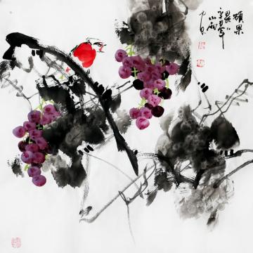 周小雨国画花鸟硕果累累字画之家