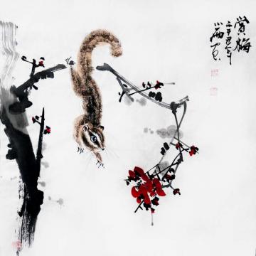周小雨国画花鸟赏梅字画之家