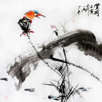 周小雨国画花鸟赏荷字画之家