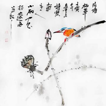 周小雨国画花鸟荷塘栖翠字画之家