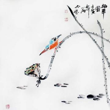 周小雨国画花鸟栖翠图字画之家
