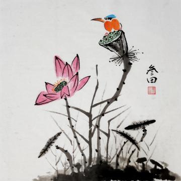 鲁三田国画花鸟荷塘栖翠字画之家