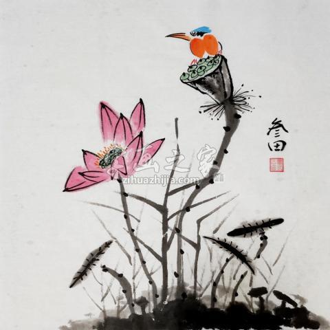 荷塘栖翠》鲁三田国画花鸟画荷花(翠鸟)简约现代中式装饰画收藏增值保真 荷塘栖翠》鲁三田国画花鸟画荷花(翠鸟)简约现代中式装饰画收藏增值保真