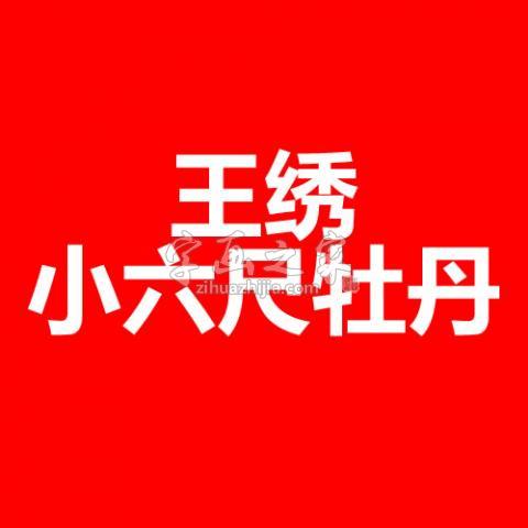 国画家王绣字画之家