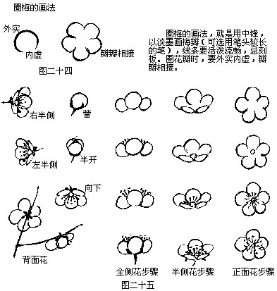 国画写意梅花之画法